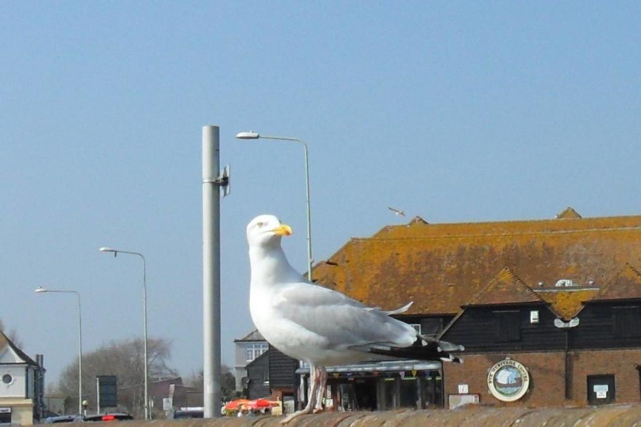 Seaview Cottage Rye Buitenkant foto